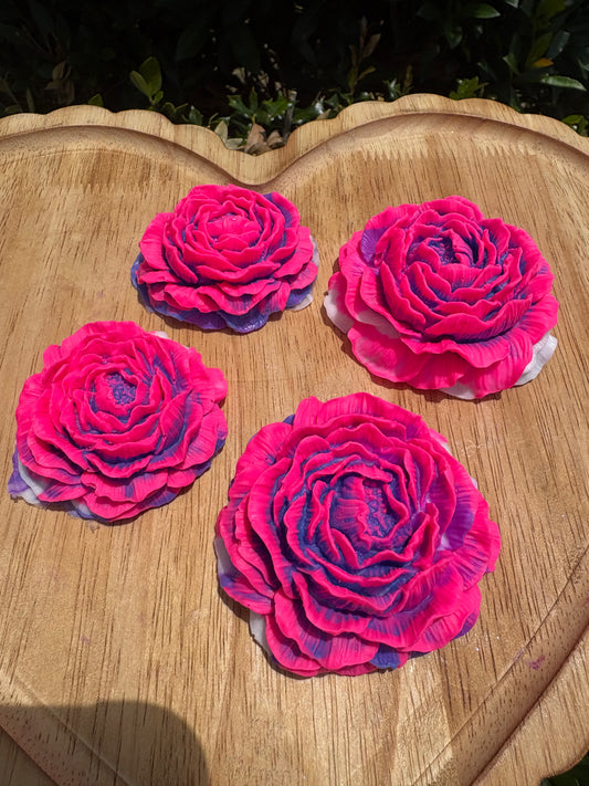 Petal Prism Duo