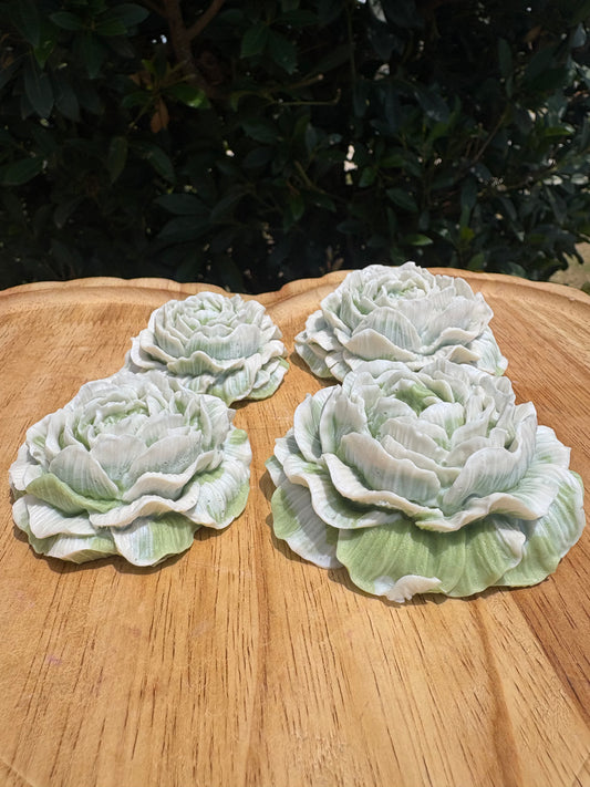 Garden Moss Duo
