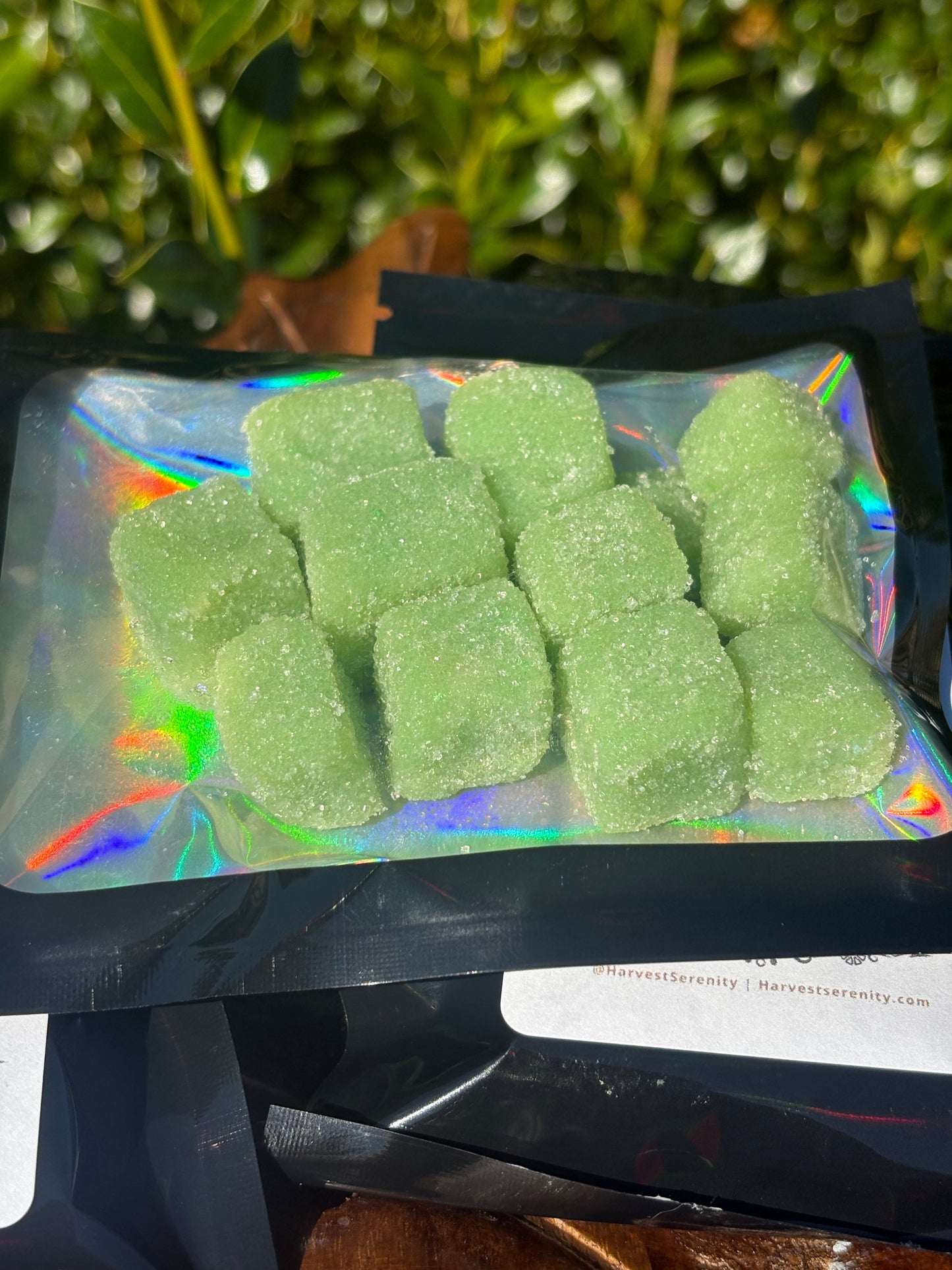 Watermelon Foaming Sugar Scrub Cubes